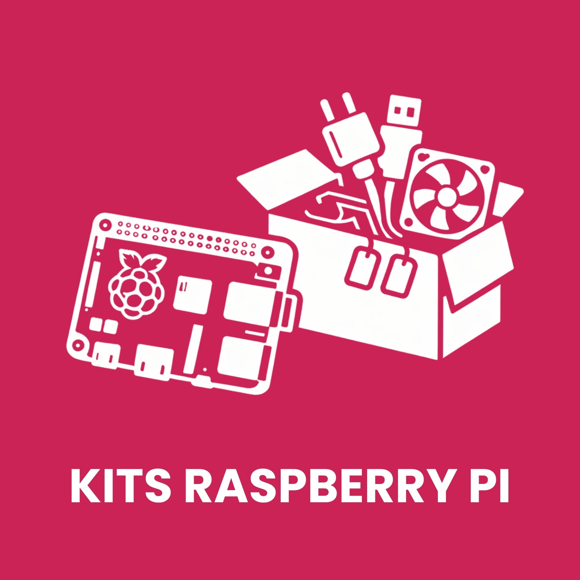Kits Raspberry Pi – RaspberryPi Chile